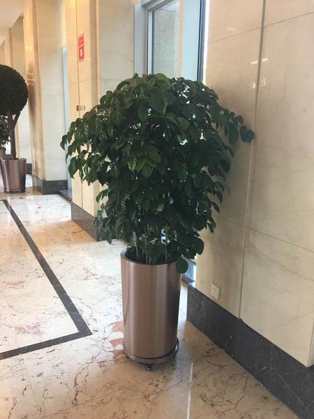 植物摆放案例 (8)