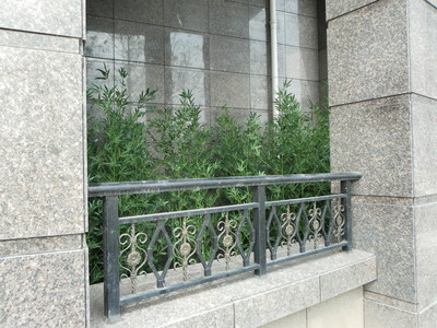 仿真植物 (35)