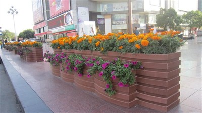 花坛花箱 (3)