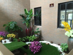 仿真植物 (6)
