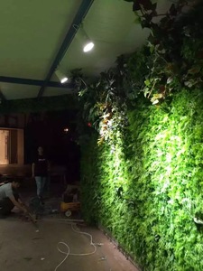 植物墙 (72)