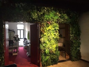植物墙 (71)