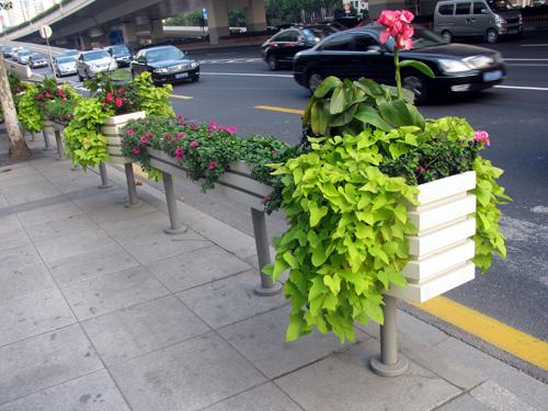 花坛花箱 (10)