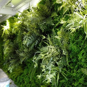 植物墙 (73)