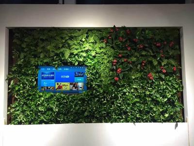 植物墙