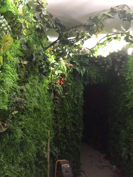 植物墙 (3)