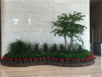 植物造景案例