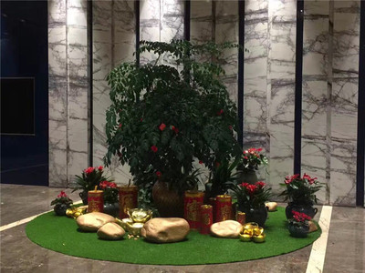 植物造景案例 (1)