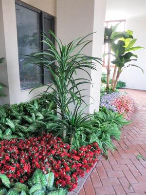 仿真植物 (53)