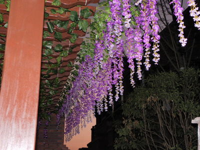 仿真植物 (52)