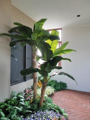 仿真植物 (54)