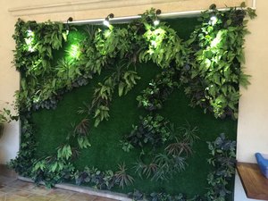 植物墙 (15)