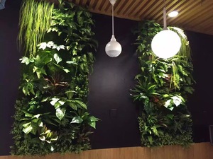 植物墙 (16)