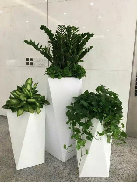 植物造景 (19)