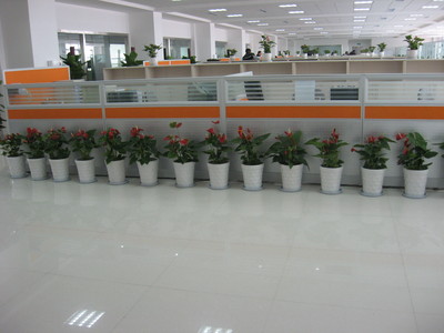 办公区域 (2)