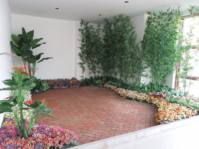 仿真植物 (61)