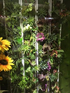 植物墙 (21)