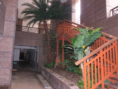 仿真植物 (28)