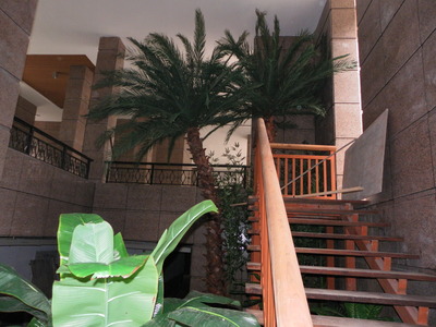 仿真植物 (31)