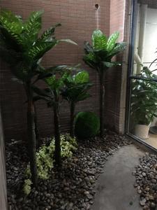仿真植物 (7)