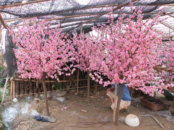 仿真桃花树 043