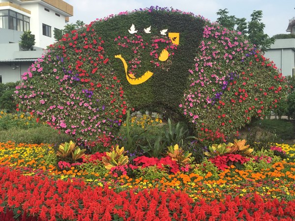 花坛花箱(50)
